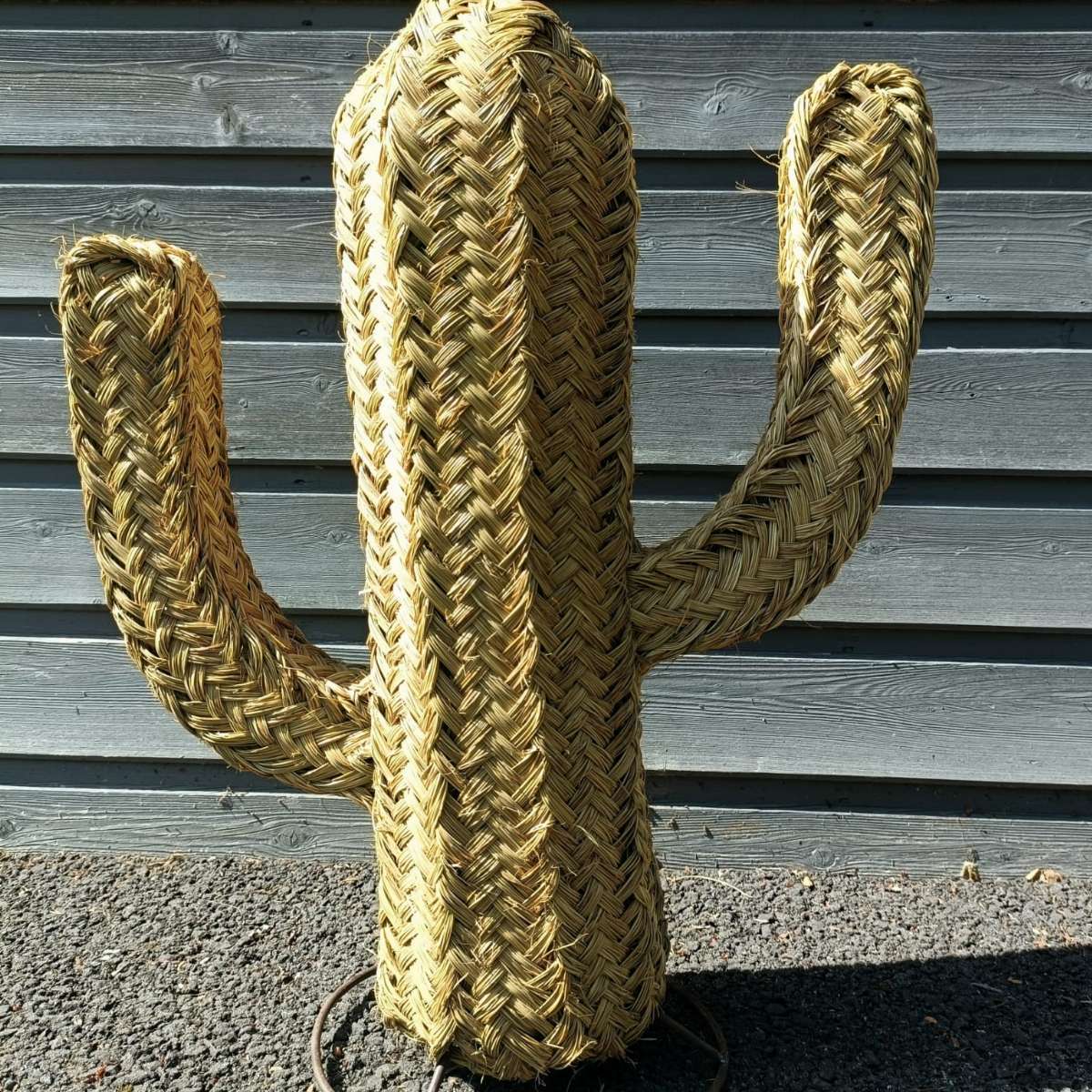 Cactus en doum